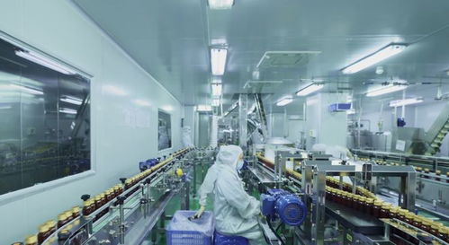 2026年揭秘 酵素饮制造企业如何玩转健康新潮流——技术交流深度解析
